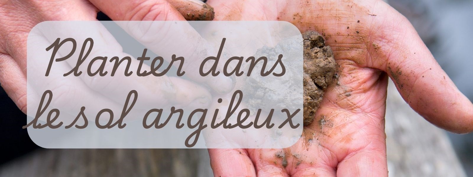Planter en sol argileux